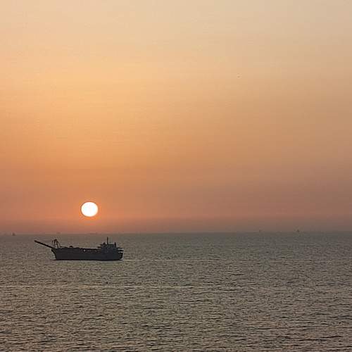 Photo #12264832