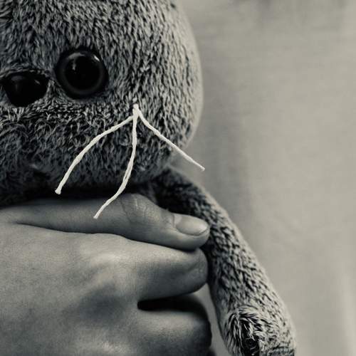 Photo #12264834