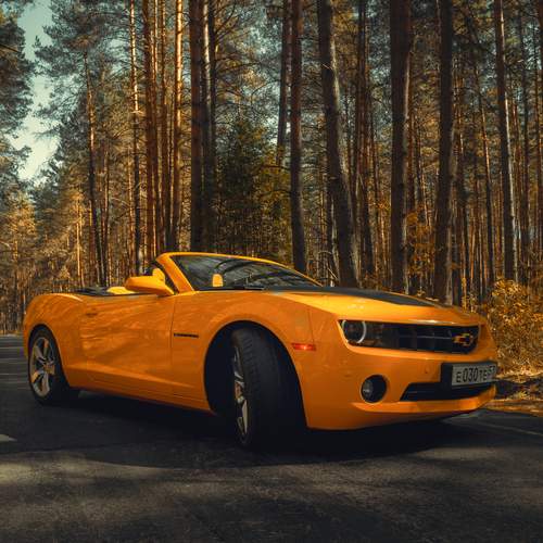 Photo #12265160