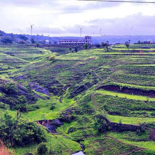 Photo #12265170