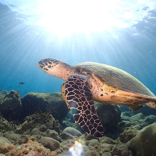 Photo #12265311