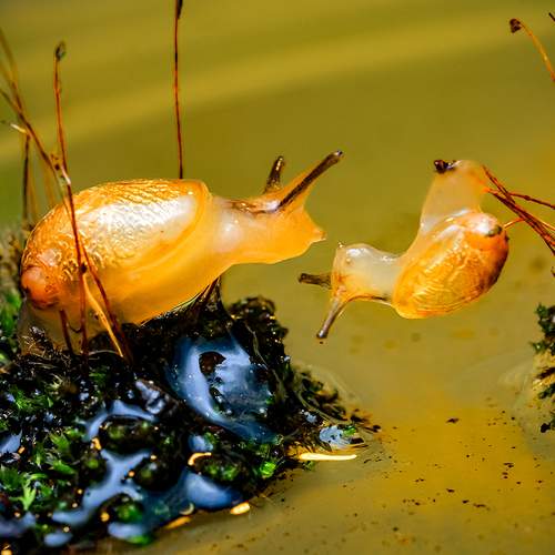 Photo #12265422