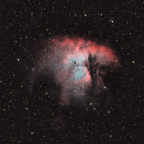 Фотография #12265609