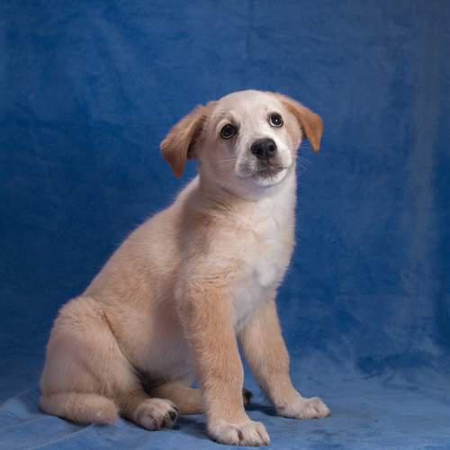 Photo #12265639