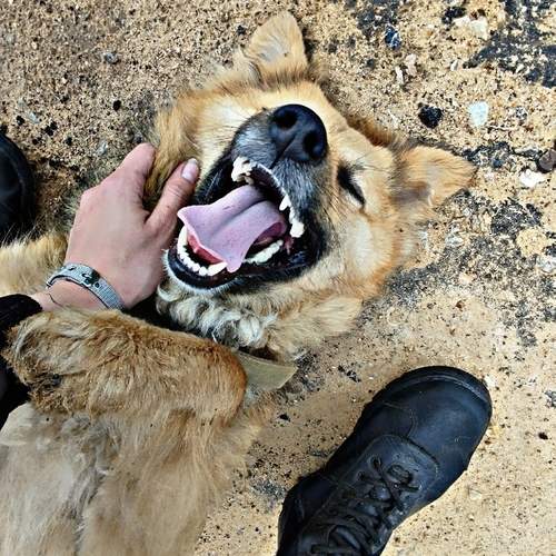 Photo #12266194