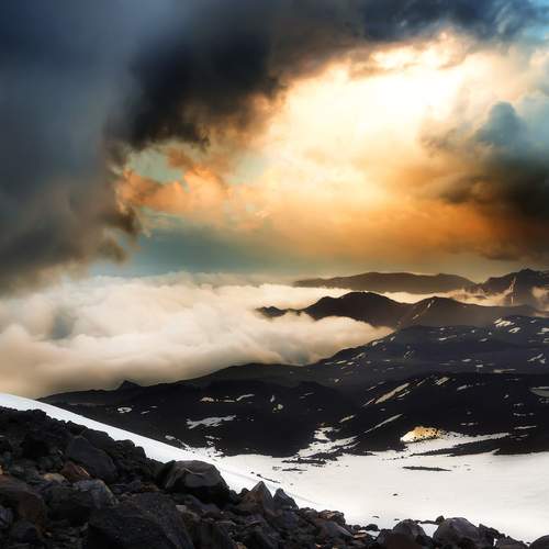 Photo #12266318