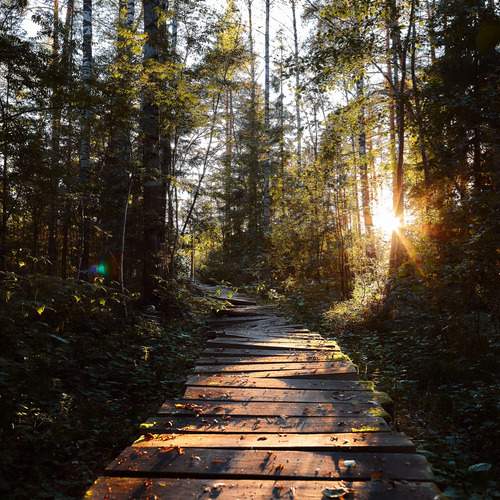 Photo #12266323
