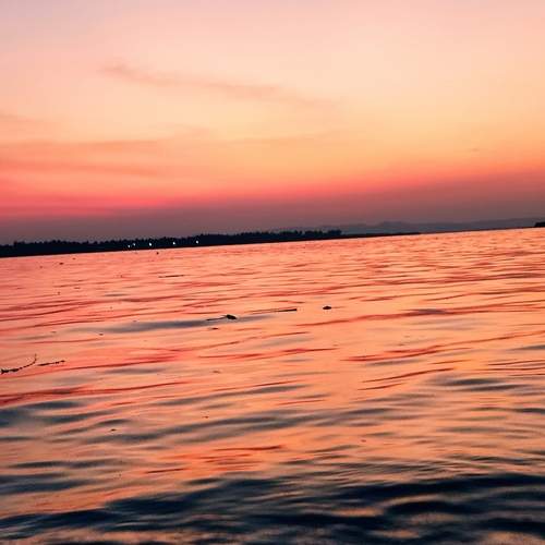 Photo #12266516