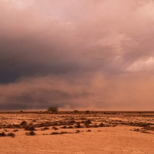 Desert doom