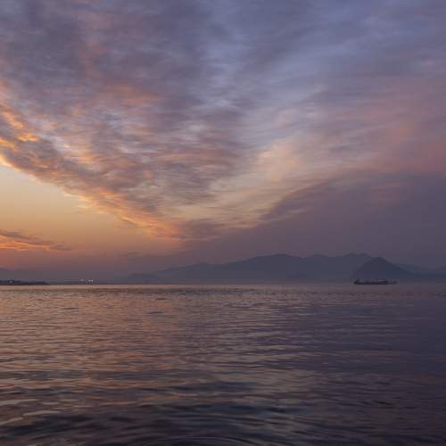 Photo #12266572