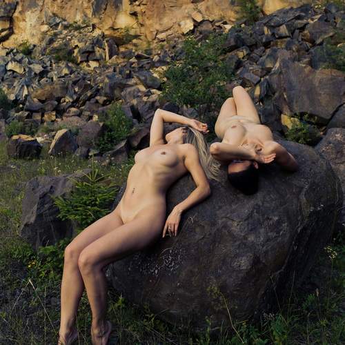Photo #12266628