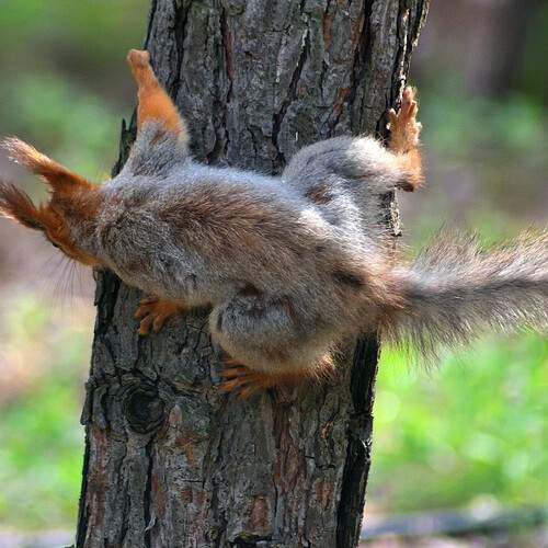 Photo #12266650