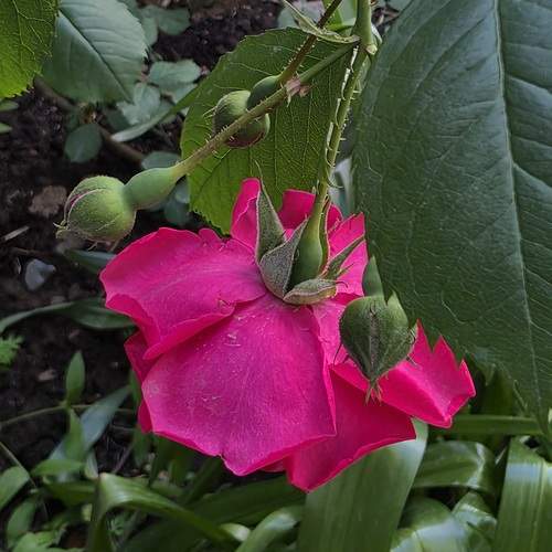 Photo #12266814
