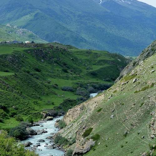 Photo #12267001