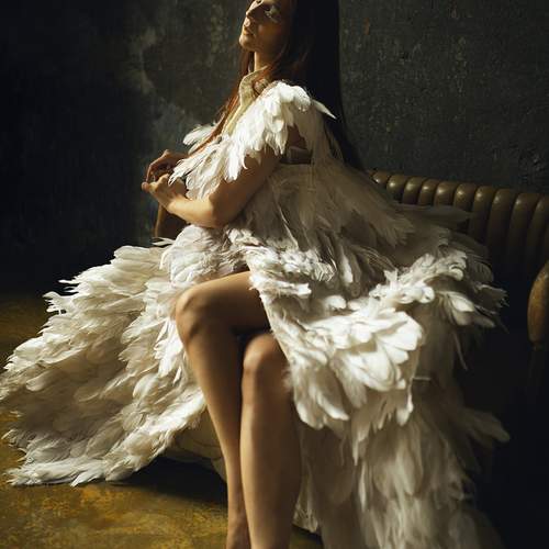 Photo #12267155