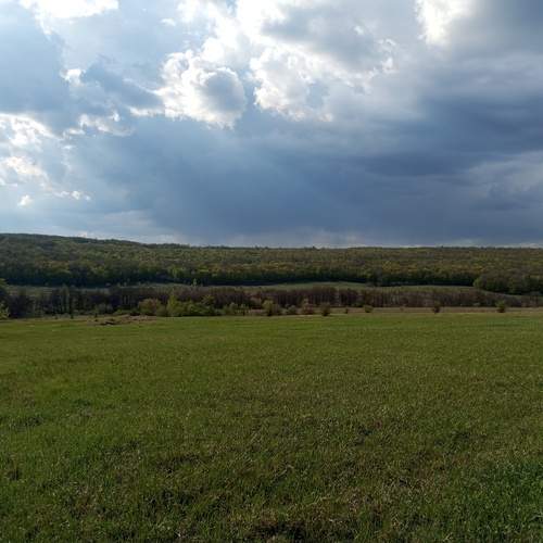 Photo #12267419