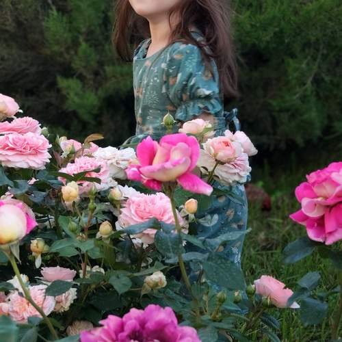 Photo #12267828