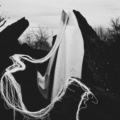 Photo #12267949