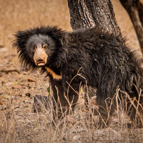Photo #12268008