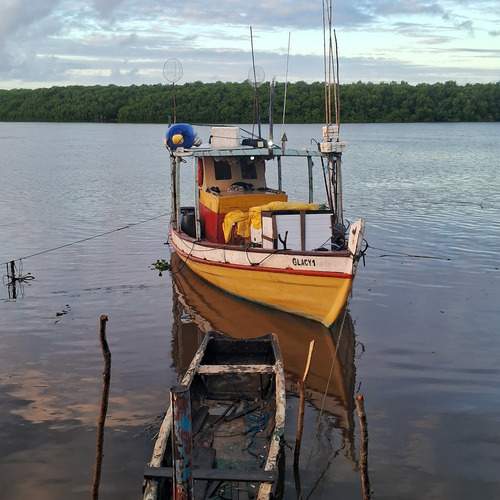 Barco pesqueiro