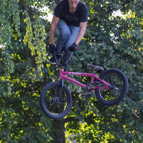 Photo #12268527