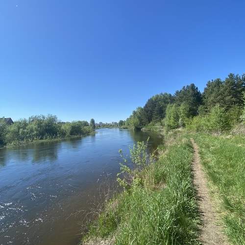 Photo #12268948