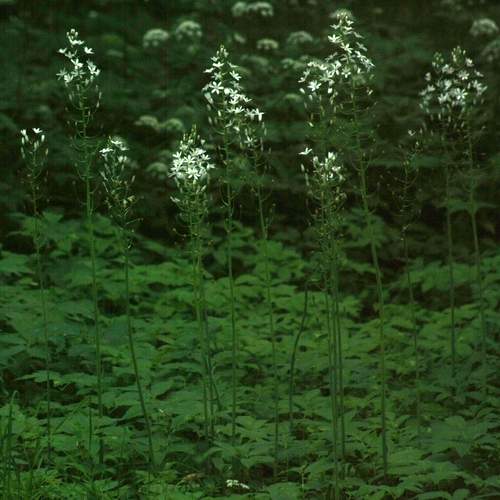 Photo #12269414