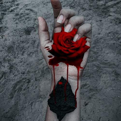 The rose.