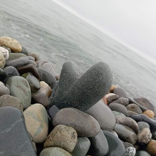 Photo #12270184