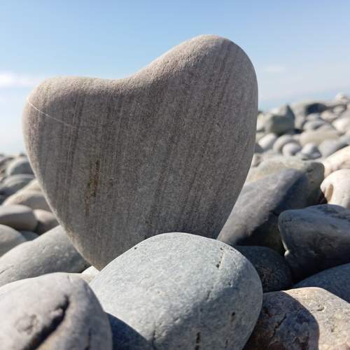 Photo #12270185