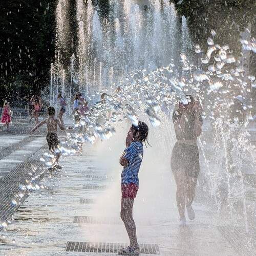 Photo #12270754