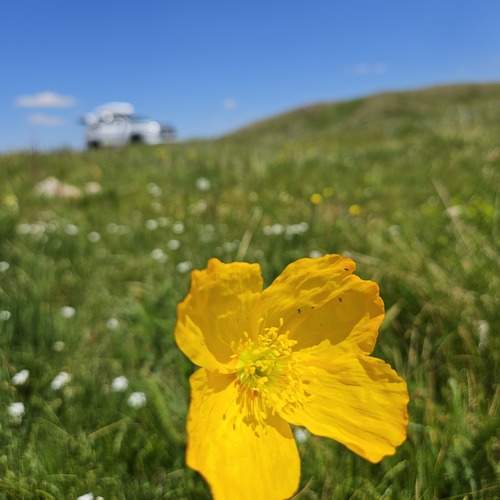 Photo #12270778