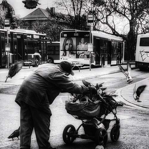 Photo #12271049