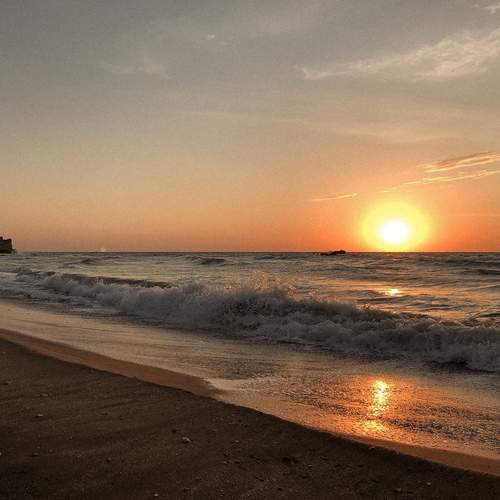Photo #12271291