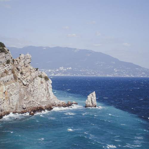 Photo #12271293