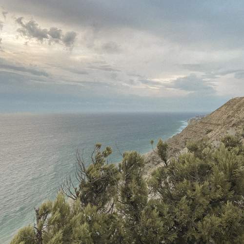 Photo #12271294