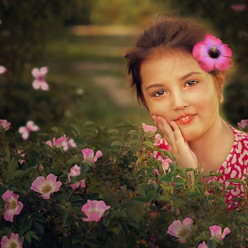 Photo #12271577