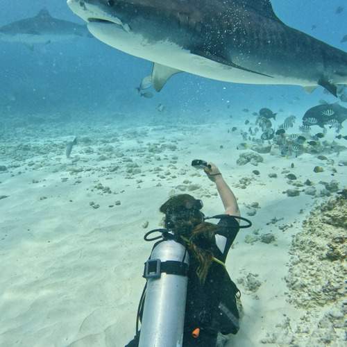 Photo #12271582