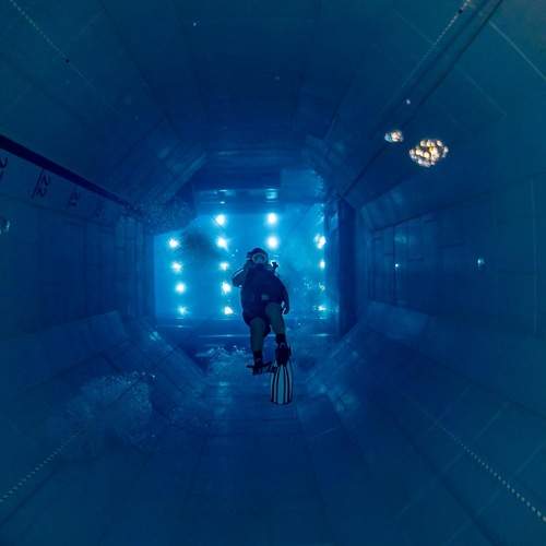Photo #12271589