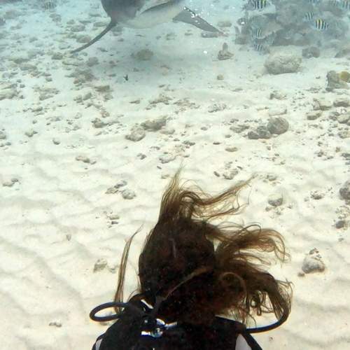 Photo #12271720