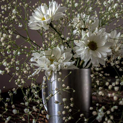 Photo #12271876