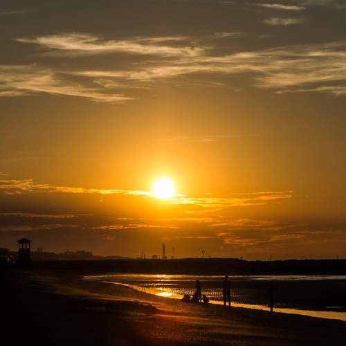 Photo #12271887