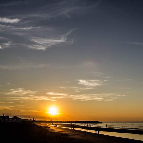 Photo #12271888