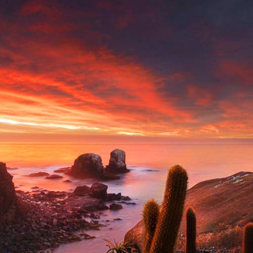 Photo #12272000