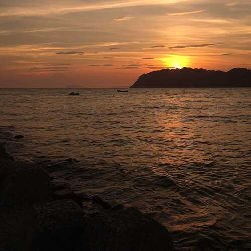 Photo #12272266
