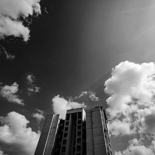Photo #12272679