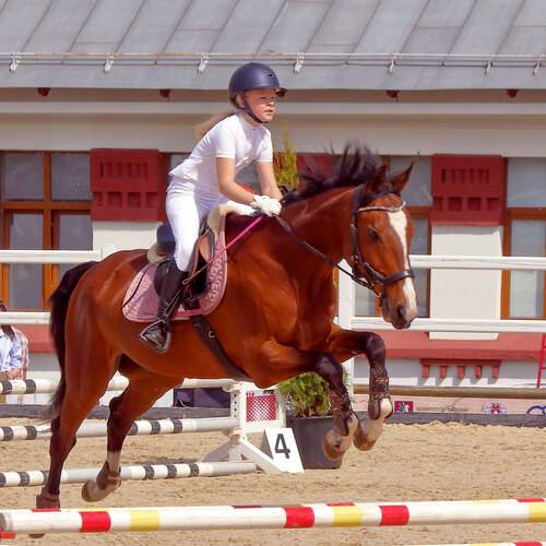 Photo #12272722
