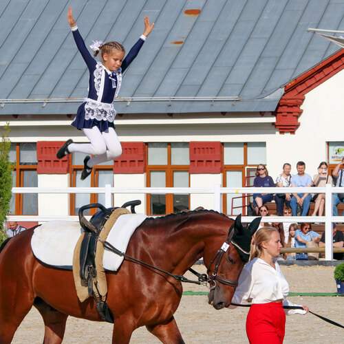 Photo #12272736