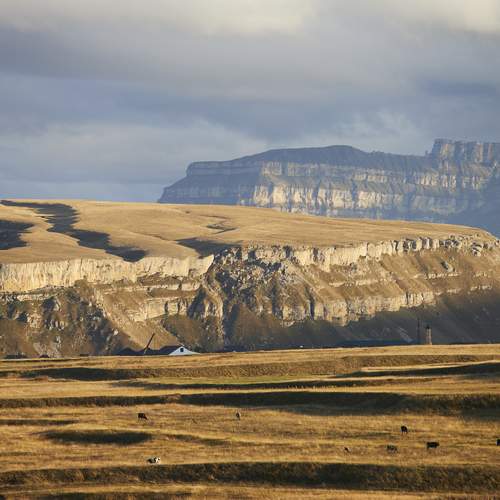 Photo #12272743