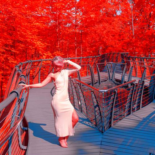 Photo #12273053